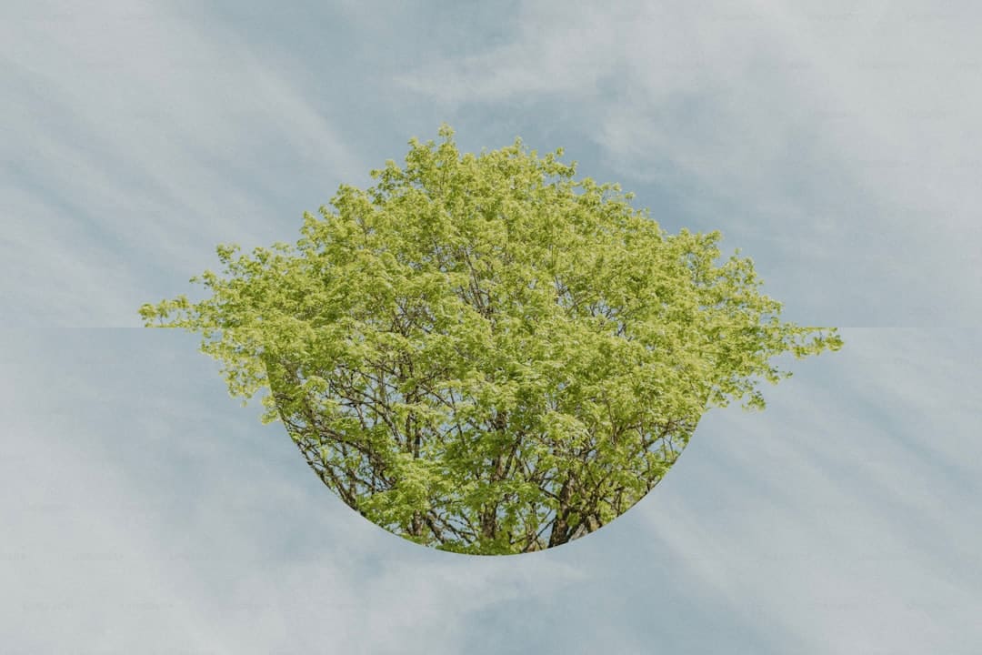 湖南郴州举办首届公益诉讼检察业务竞赛
